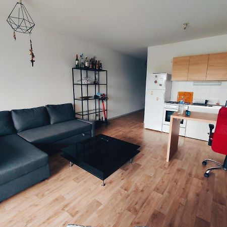 בידאר T2 Bis Avec Terrasse Vue Montagne Proche Mer, Commerces Et Biarritz מראה חיצוני תמונה