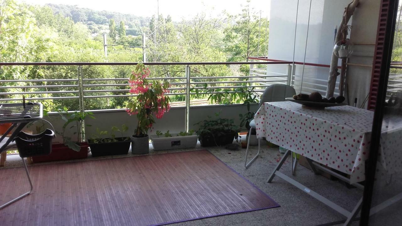 בידאר T2 Bis Avec Terrasse Vue Montagne Proche Mer, Commerces Et Biarritz מראה חיצוני תמונה